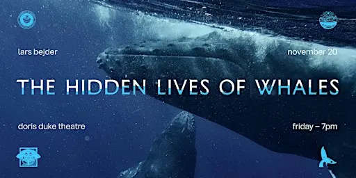 Lars Bejder: The Hidden Lives of Whales