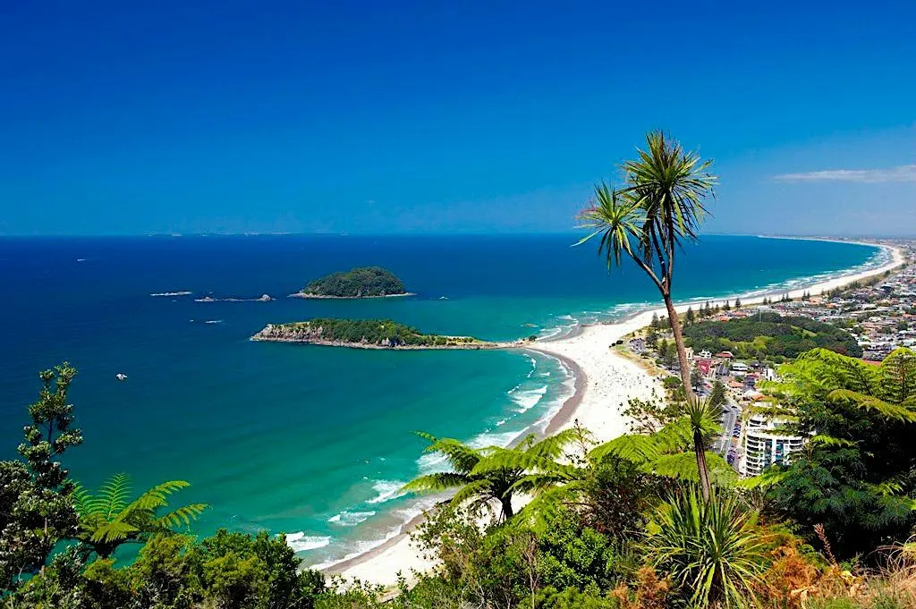 Tauranga First Home Buyers Masterclass