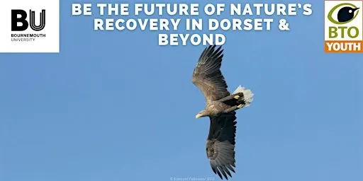 Be The Future of Nature's Recovery In Dorset & Beyond