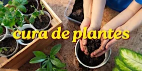 Cura de Plantes