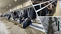 2026 Ruminant Feed Industry Day: Osgoode, Ontario