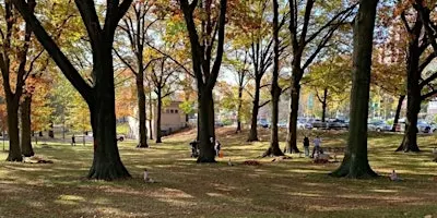 Memorial Grove Volunteer Clean Up Event