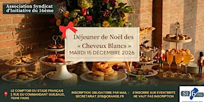 Déjeuner de Noël des cheveux blancs