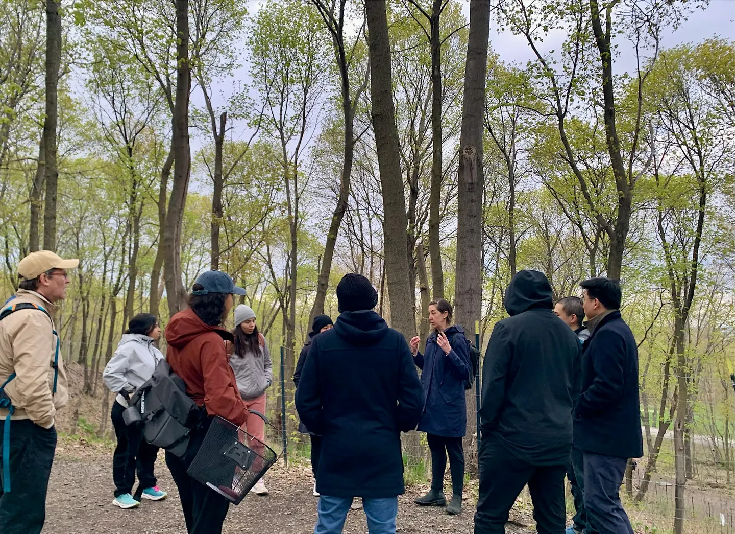 *SPECIAL* Nature Therapy Walk with Moire