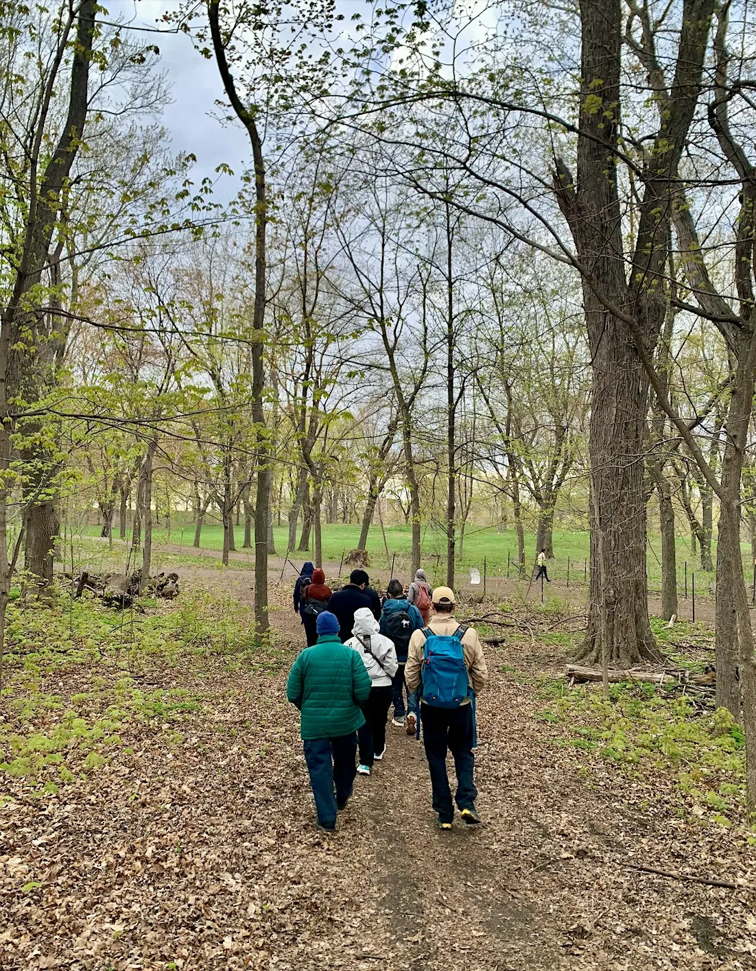 *SPECIAL* Nature Therapy Walk with Moire