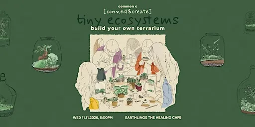tiny ecosystems: Build Your Own Terrarium