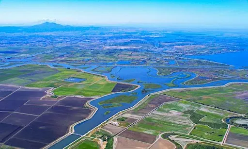 Against All Odds...Protecting the West's Largest Wetland
