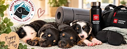 Puppy Yoga at Okotoks Toyota | Yoga Gift Bag Included