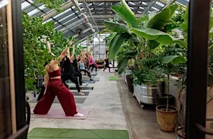 Yoga in the Greenhouse