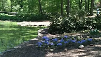 A Gentle Walk in Nature: Forest Bathing at Tregaron Conservancy