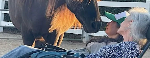 Nervous System Reset with Icelandic Horses and Sound