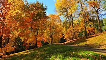 Wellbeing Day at SCCUL Sanctuary