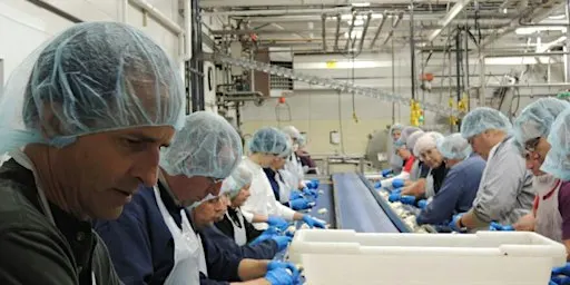 Canning for a Cause: Helping Those in Need