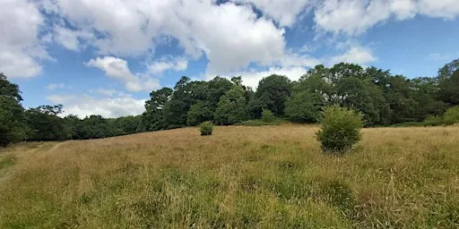 Nature Reserves work party - Crow Wood