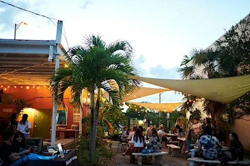 A Poetry & Tarot Workshop: Tropical Waystations