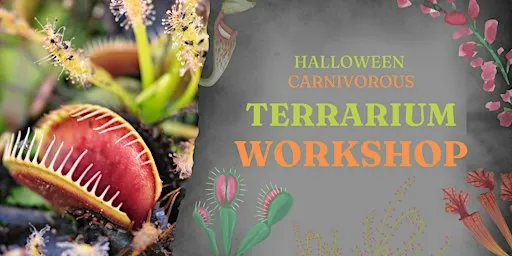 Halloween Carnivorous Terrarium Workshop