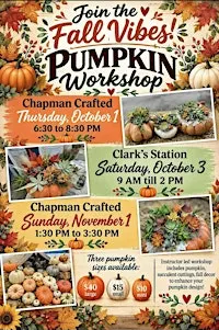 Succulent Pumpkin Workshop in Orange