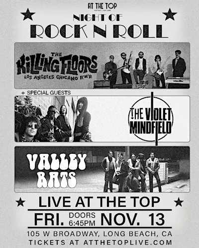Night of Rock N Roll