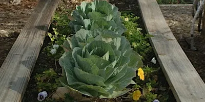 Winter Vegetable Gardening