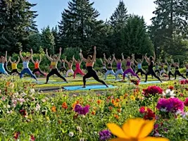 Yoga & U-Pick