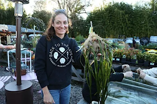 Stewardship Session: Marine Meadows Workshop, Sag Harbor
