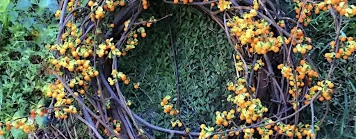 Artisan Japanese Bittersweet Wreath Class