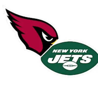 Ultimate Fan Experience: Arizona Cardinals vs New York Jets!