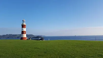 Plymouth Designated Safeguarding Lead Briefing