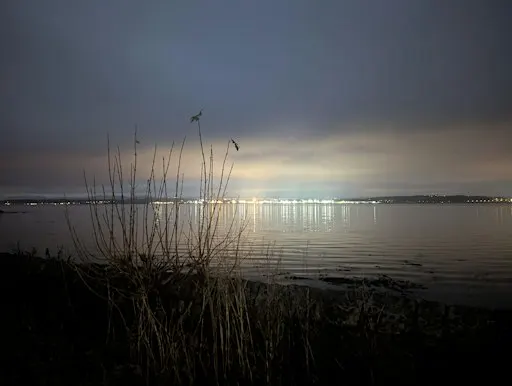 Connecting Moments :Litter Pick-ture Walk, South Queensferry