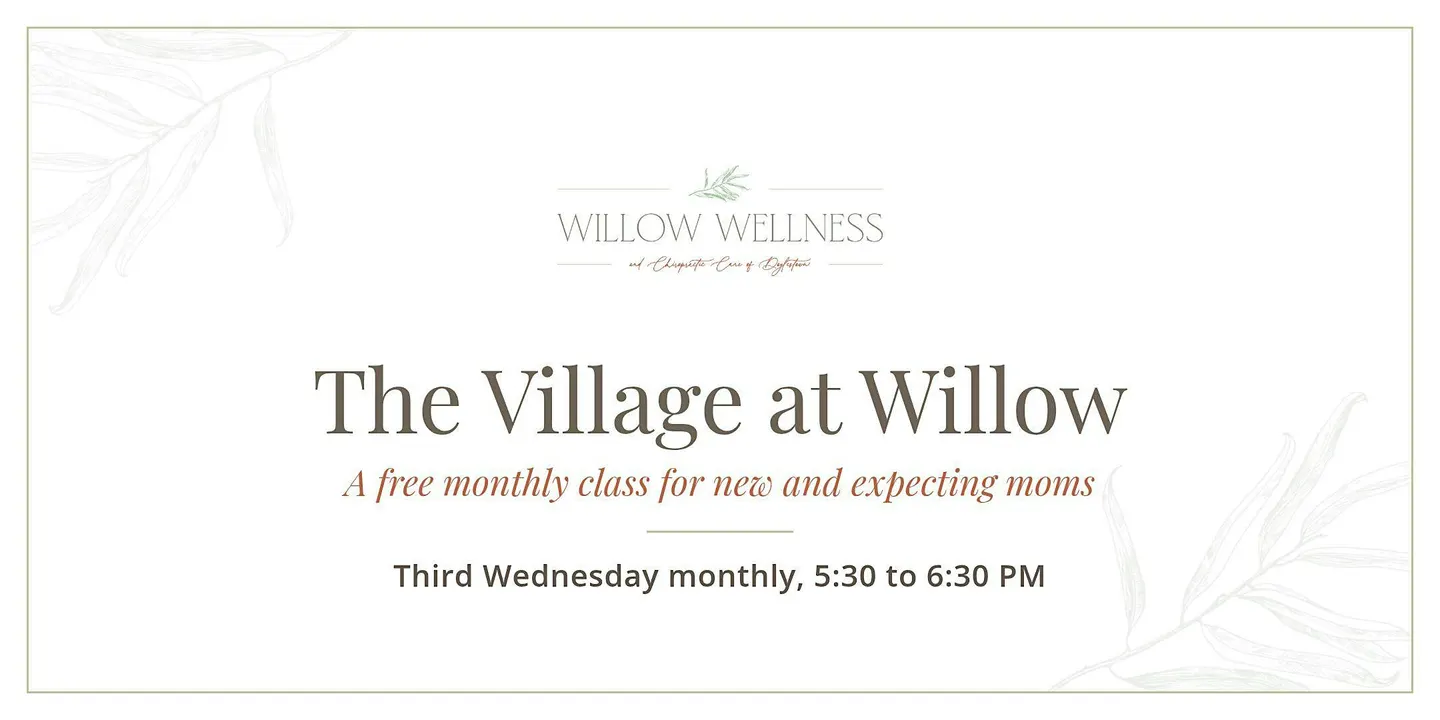 The Village at Willow