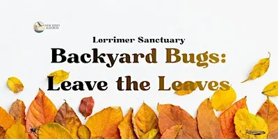 Backyard Bugs: Leave the Leaves