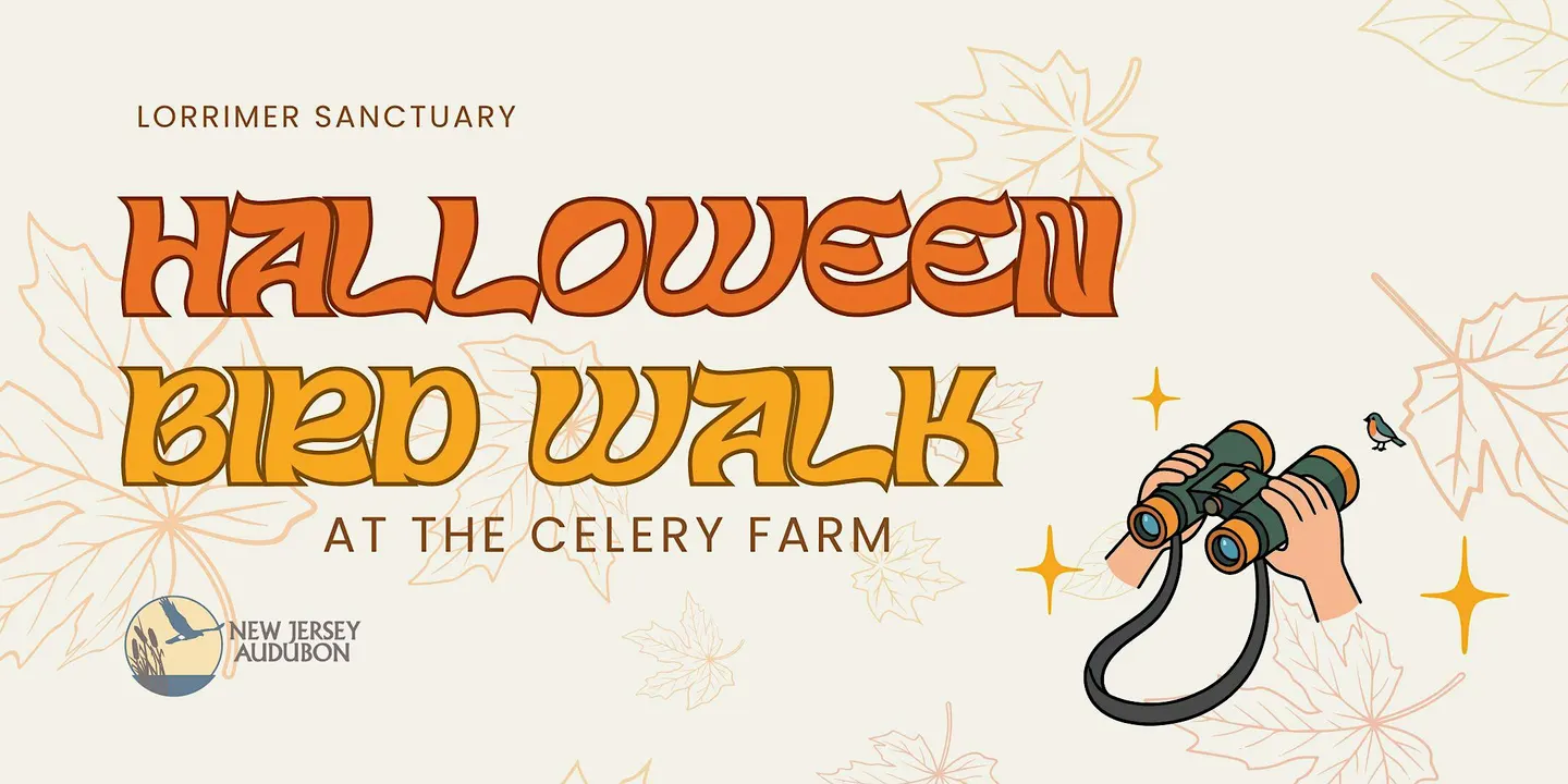 Halloween Bird Walk