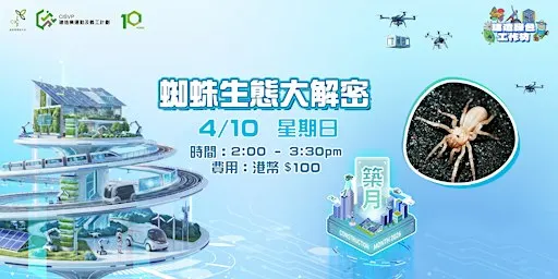 建造綠色工作坊 – 蜘蛛生態大解密 Spider Ecology Unveiled