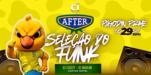 SELEÇÃO DO FUNK - AFTER