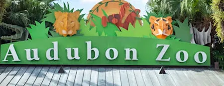 Big Easy Jungle Jamboree at Audubon Zoo