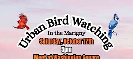 Urban Bird Watching in the Marigny