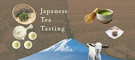 Japanese Tea Tasting