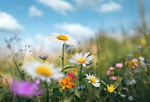 Co-Creating Our Future Together - A Journey of Transformation