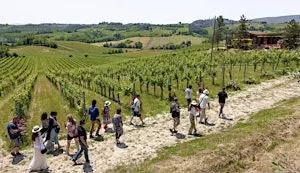 Tuscany Day Trip from Florence: Siena, San Gimignano, Pisa & Winery Lunch