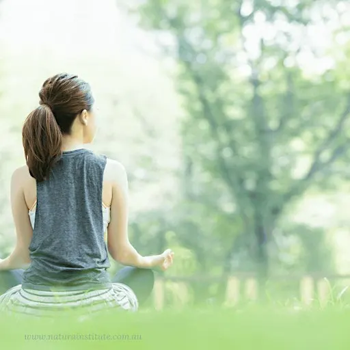 Introduction to Mindfulness with Nic