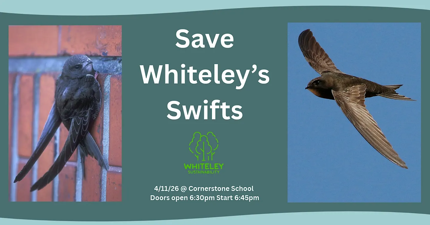 Save Whiteley Swifts - Public Talk Hampshire Swifts