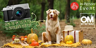 BYOD "Bring Your Own Dog" OM System PEN Touch & Try