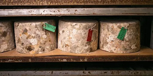 Quicke's Cheese Tour 14th May 2027