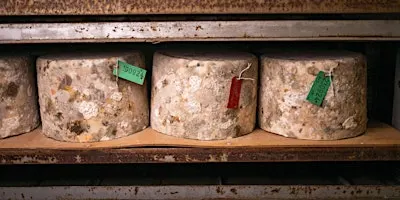 Quicke's Cheese Tour 24th September 2027