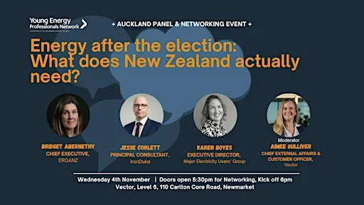 Energy after the election: What does New Zealand actually need?