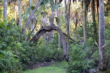 Special Access Guided Hike