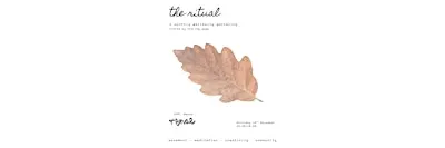The Ritual #3 — a monthly wellbeing gathering November Edition