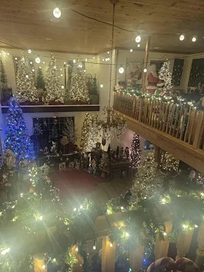 Christmas Tree Light Nights! After Dark Christmas Shopping Experience!