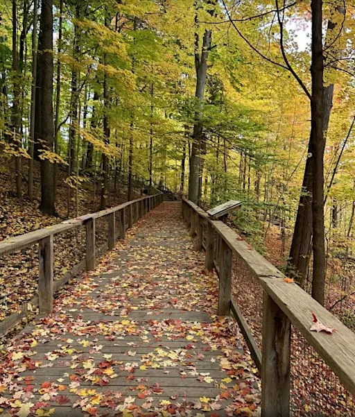 Blythwood Ravine & Sherwood park