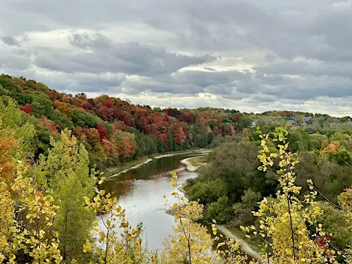 The Art of Autumn: A Guided Nature Walk
